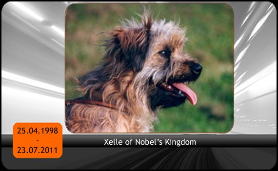 Xelle of nobels kingdom